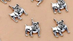 Mascot Charms