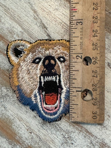 Bear Mascot Iron On Patches