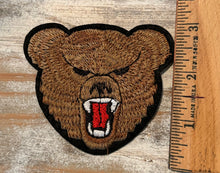 Load image into Gallery viewer, Bear Mascot Iron On Patches