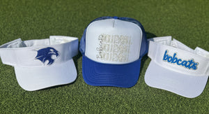 Bobcat Visors