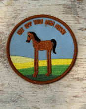 Load image into Gallery viewer, Funny Saying Iron On Patches