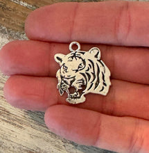 Load image into Gallery viewer, Mascot Charms
