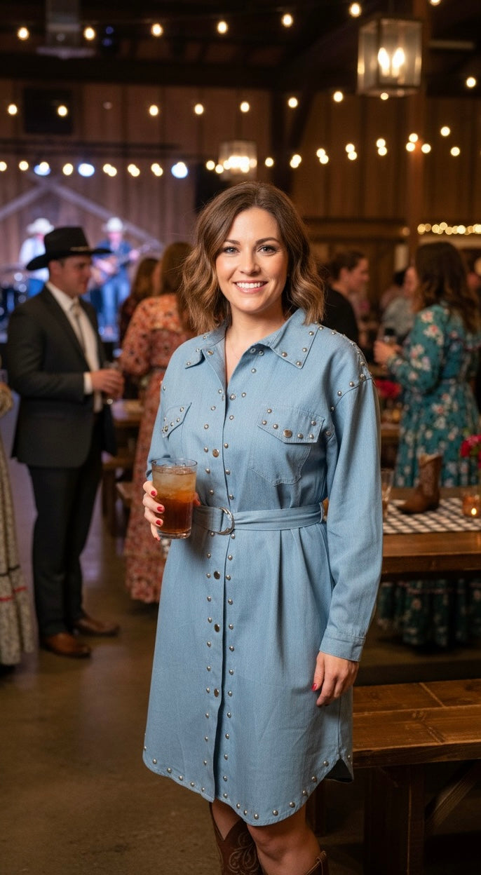 Simply Riveted Denim Dress