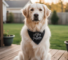 Load image into Gallery viewer, I Still Live With My Parents Pet Bandana