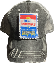 Load image into Gallery viewer, Impact Baseball Hats (Various Styles)